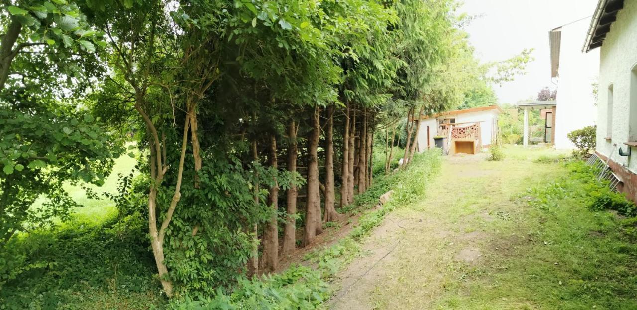Gemuetliches Ferienhaus "An Der Schilde" In Renzow Exteriör bild